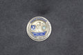 USAF Elizabeth N. Jacobson Memorial Security Forces Challenge Coin Serial #105