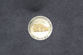 Pennsylvania State Police Chaplain's Recognition & Irish Memorial Challenge Coin