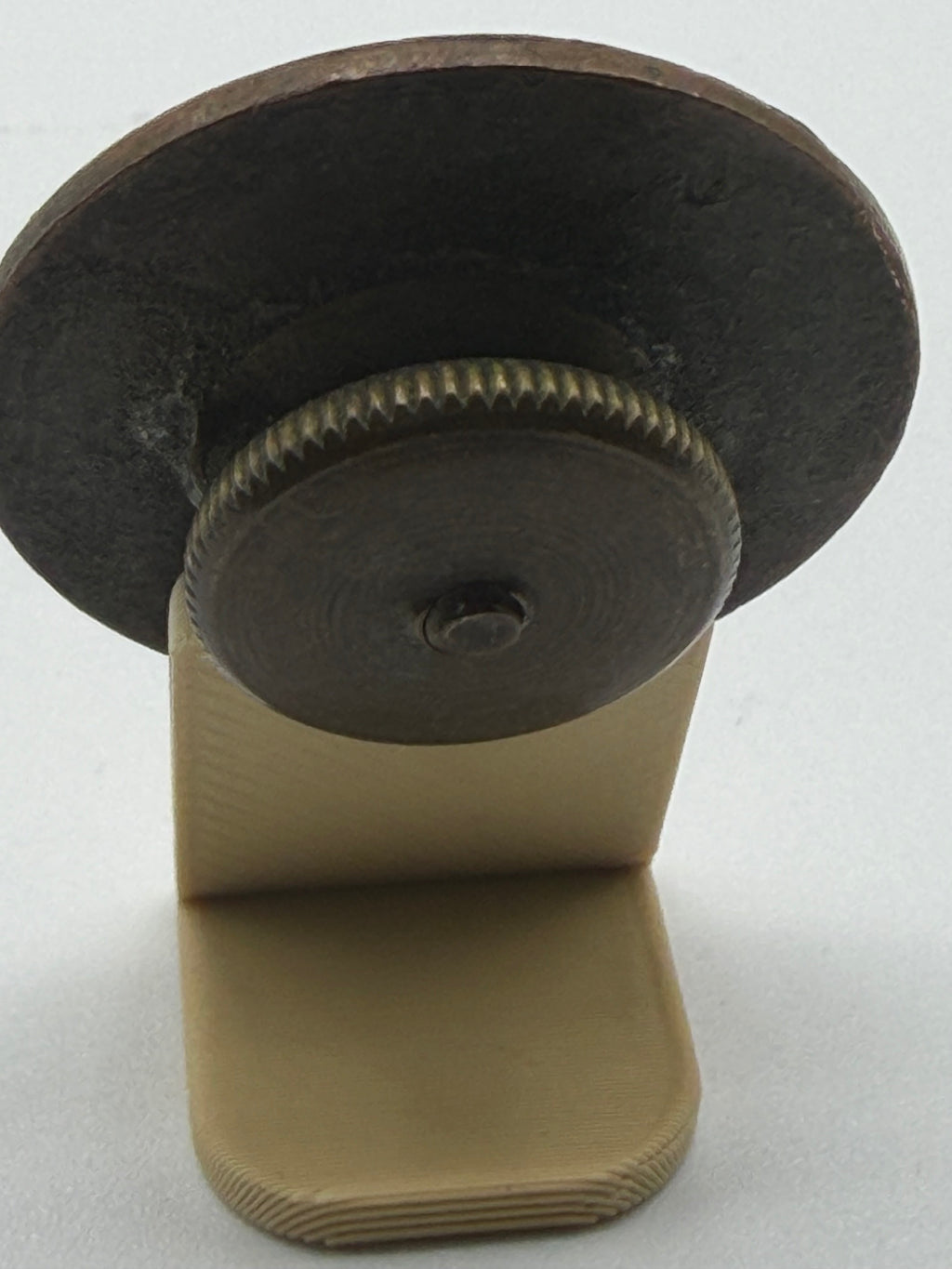 U.S. Army Infantry Collar Disk – 44th Division, Company D (Post‑WWII Era)